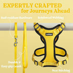 rabbitgoo Cat Harness and Leash Set, Escape Proof Vest, Yellow | Soft Breathable Mesh, Easy Adjustable Fit, Snap Buckles, Sturdy Clip, Reflective Strips, for Average Cats Walks, S
