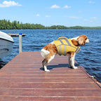 Kuoser Dog Life Jacket with Reflective Stripes - Adjustable High Visibility Vest, Ripstop Lifesaver, Pet Preserver with High Flotation Swimsuit for Small, Medium and Large Dogs | Adjustable Pet Lifejackets, High Flotation Doggie Swimsuit with Rescue Ha...