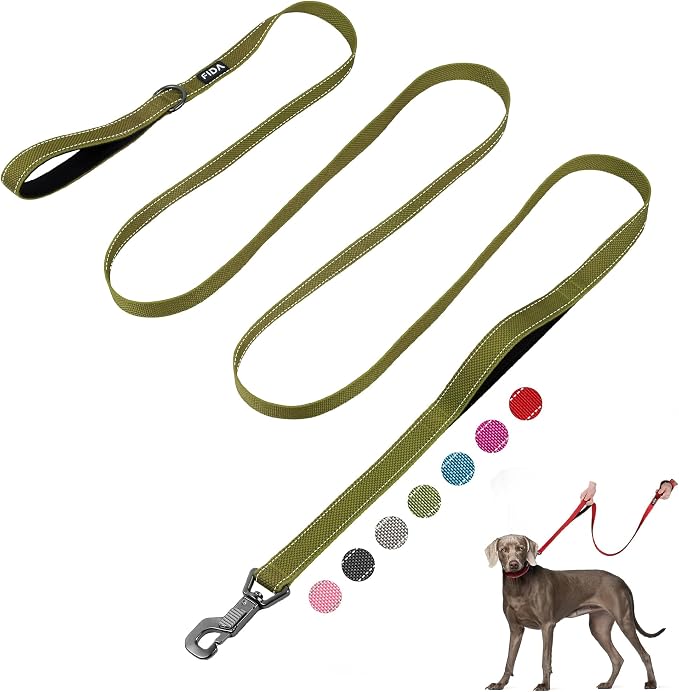 Fida 10ft Heavy Duty Dog Leash with 2 Comfortable Padded Handles, Traffic Handle & Advanced Easy Snap Hook, Reflective Walking Lead for Large, Medium & Small Breed Dogs, Green