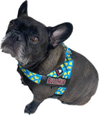 BULLHUG Adjustable Dog Harness– No Pull, No Choke – for English Bulldogs, French Bulldogs, Pugs & Broad-Chested Breeds – Easy, Safe Walks (Sky-Duck, Large)