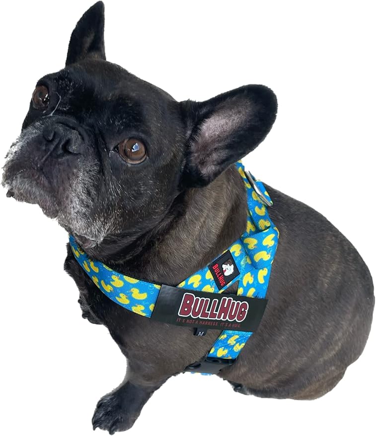 BULLHUG Adjustable Dog Harness– No Pull, No Choke – for English Bulldogs, French Bulldogs, Pugs & Broad-Chested Breeds – Easy, Safe Walks (Sky-Duck, Large)