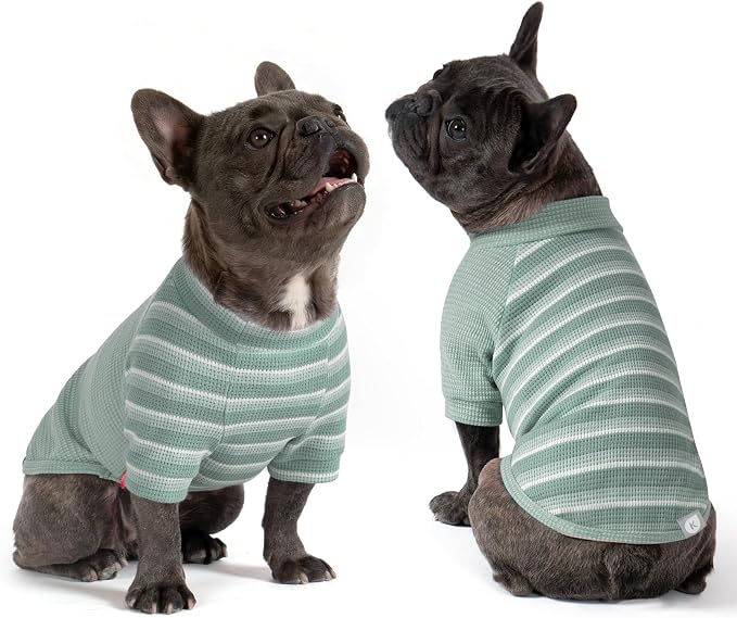 KYEESE 2Pack Waffle Dog Shirt with Sleeves Soft Striped Dog Sweater | Turtleneck, Cozy Warmth. Lightweight & Breathable, Gentle on Sensitive Skin, Free to Move, Comfortable Daily Wear