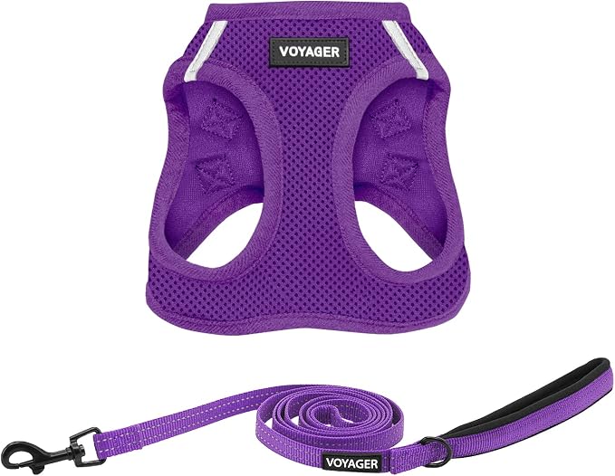 Best Pet Supplies Voyager Step-in Air All Weather Mesh Harness and Reflective Dog 5ft Leash Combo with Neoprene Handle, for Small, Medium and Large Breed Puppies - Purple, X-Large