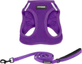 Best Pet Supplies Voyager Step-in Air All Weather Mesh Harness and Reflective Dog 5ft Leash Combo with Neoprene Handle, for Small, Medium and Large Breed Puppies - Purple, X-Large