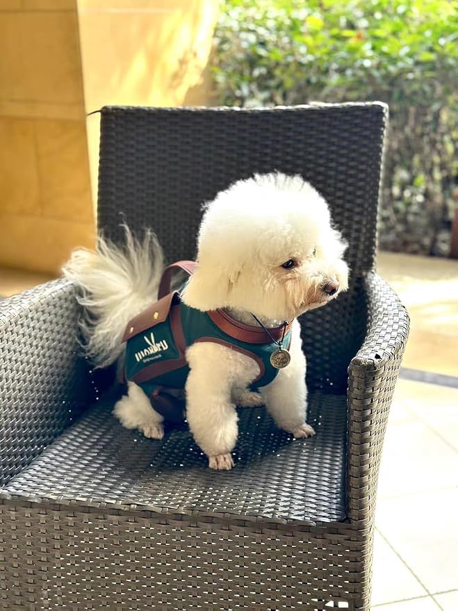 Wakytu Dog Lift Harness Dog Carrier Sling for Small Dogs & Cats,L | stylish puppy sling carrier with handle & pocket,adjustable leash,walking & travel