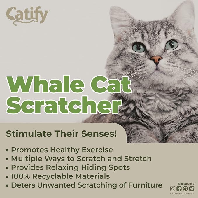 Best Pet Supplies Catify Corrugated Cardboard Cat Scratcher - Whale | Corrugated Cardboard, Durable, Non-Slip, Indoor Furniture Protector, For Kittens and Cats, Promotes Healthy Active Play