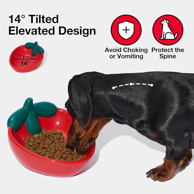 VETRESKA Ceramic Pet Bowl, Tilted Design Pet Feeder for Food and Water | Anti Vomit Cat Bowls for Indoor Cats Cute Strawberry Cat Bowl Dishwasher Safe