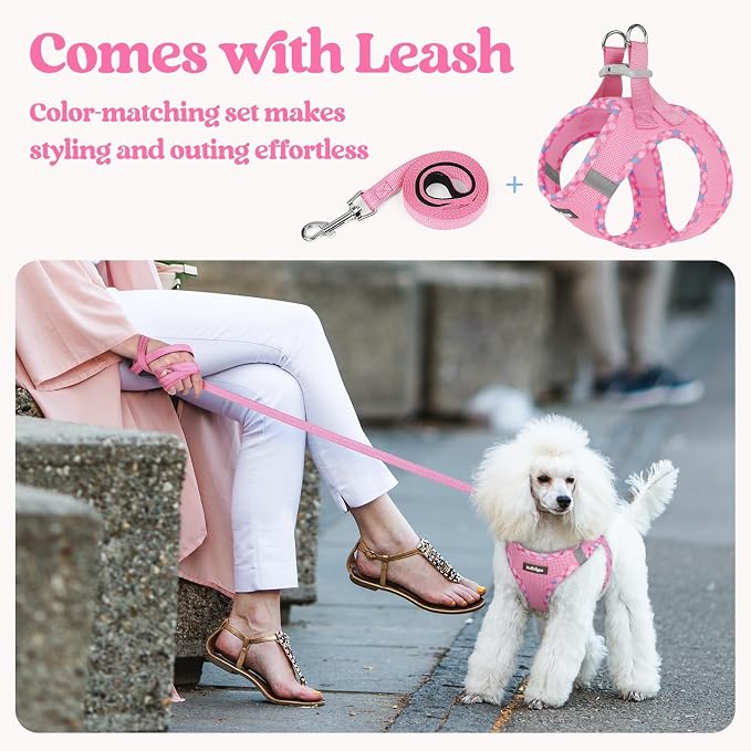 rabbitgoo Dog Harness Small Sized and Leash Set, Step-in Puppy Pet Vest | Light, Soft, Breathable Air Mesh, Easy on and Remove with Hook & Loop, Secure Reflective for Walking, Pink & Plaid Trim XXS