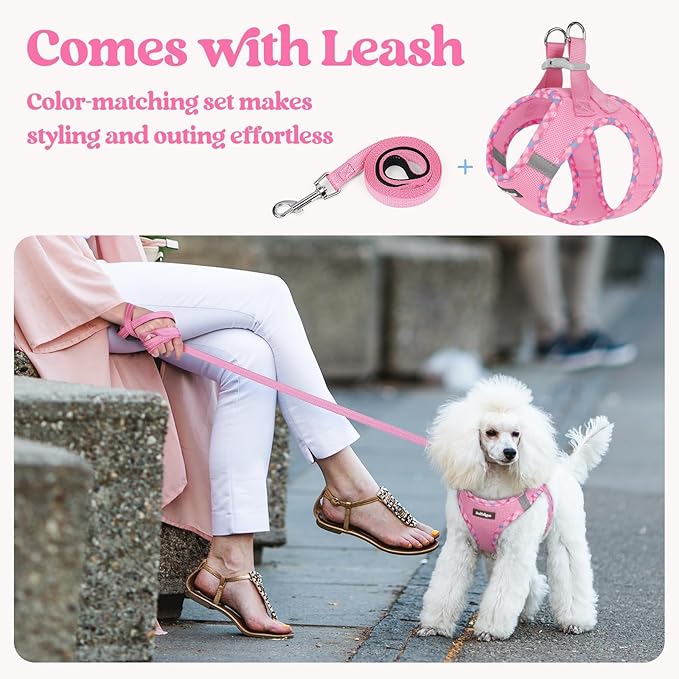 rabbitgoo Dog Harness Small Sized and Leash Set, Step-in Puppy Pet Vest | Light, Soft, Breathable Air Mesh, Easy on and Remove with Hook & Loop, Secure Reflective for Walking, Pink & Plaid Trim S