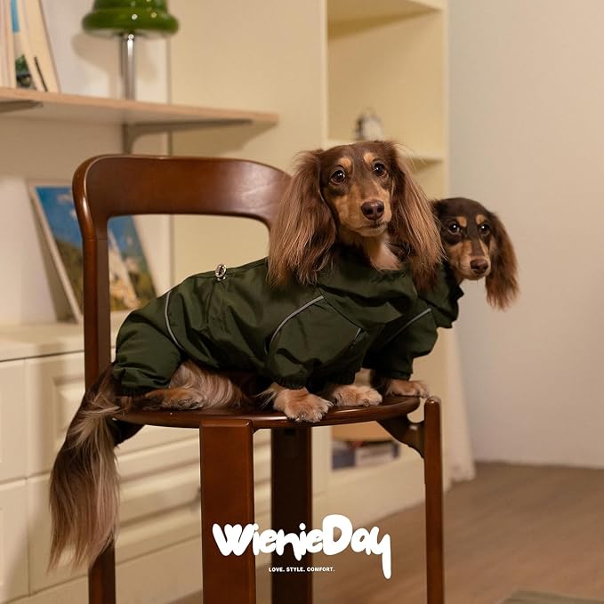 Dachshund Full Body Dog Raincoat, Waterproof 4-Leg Jacket with Removable Belly Flap, Lightweight Reflective Hooded Dog Coat for mini Dachshund Small Medium Dogs (Small (6-11lbs))