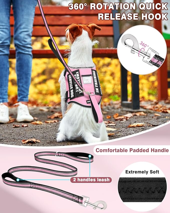 Small Service Dog Vest Harness and Leash Set+10 Patches Pink XS | Adjustable Reflective Do Not Pet Emotional Support Dog Vest with 2 Soft Padded Handle,MOLLE,for Everyday Training Hiking