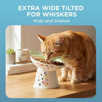 Necoichi Raised Cat Food Bowl, 15° Tilted (Sakura Floral, Extra Wide)