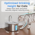 Stainless Steel Cat Water Fountain, 108oz/3.2L with 1 Filter | Auto Shut Off, Quiet Pump, Water Level Indicator, Dry-Run Protection, Large Oval Pet Water Dispenser for Cats and Dogs