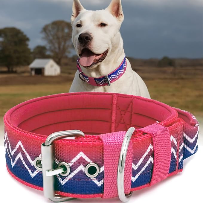 Dog Collar for Large Dogs,2 in Wide Heavy Duty,Pressure-Relief Padded, B-L | Professional Protection for Large and Giant Breeds,Handle for Control,Stainless Steel Buckle Ultra Safety,23-26 in