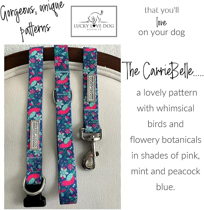 Lucky Love Dog - Adjustable Collar and Leash Set with Easy Click Buckle for Large Dogs, Durable, & Comfortable Collar for Male & Female Dogs, Puppies & Adult - CarrieBelle Combo, Large