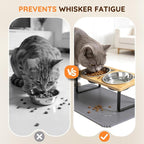 Elevated Cat Food Bowls with Mat, 2 Stainless Steel Raised Cat Food and Water Bowls, 15 Tilted Stand Anti Vomitting, Whisker Fatigue, Dishwasher Safe Cat Bowl
