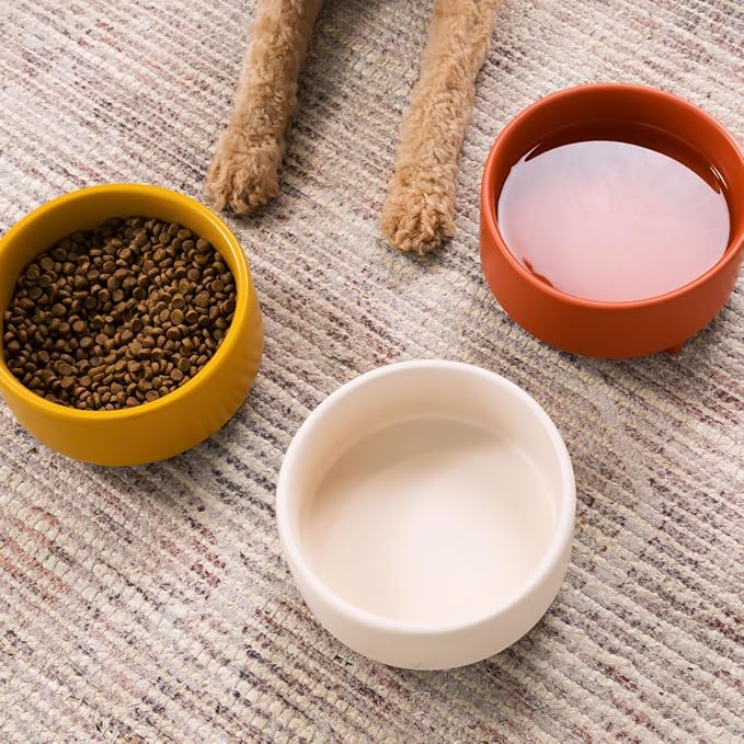 Waggo Uplift Ceramic Dog Bowl for Small Medium and Large Breeds - Heavyweight and Durable Pet Food and Water Dish Crock, Dishwasher Safe, Modern, Elevated Feeder (Olive, Large)