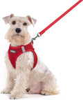 rabbitgoo Dog Harness Medium Sized and Leash Set, Step-in Puppy Pet Vest | Light, Soft, Breathable Air Mesh, Easy on and Remove with Hook & Loop, Secure Reflective for Walking, Red XXL