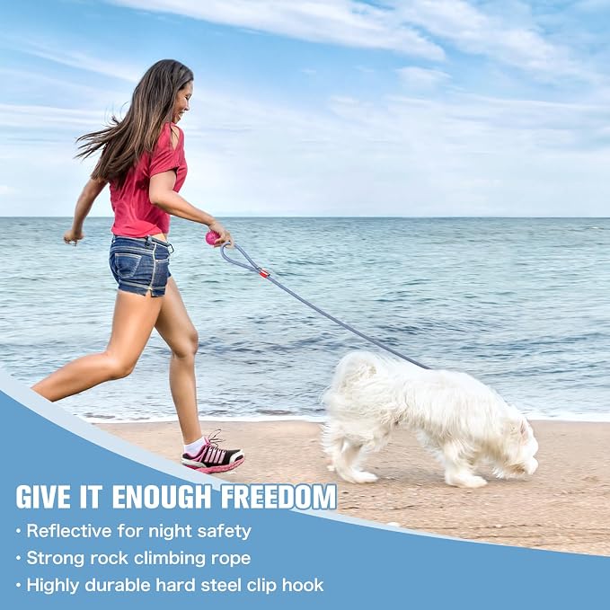 Nylon Rope Dog Leash, Blue, 5 FT - 3/5" | Reflective, Handmade Braided, Heavy Duty, For Medium Large Dogs