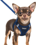 Eagloo Small Dog Harness and Leash Set, Step in Extra Small Puppy Pet Vest | Light, Soft, Breathable Air Mesh, Easy on and off with Hook & Loop, Reflective for Safe Walking, Navy Blue, XXS
