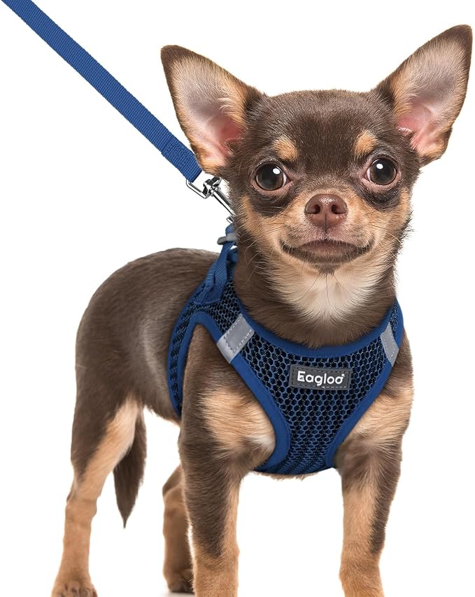 Eagloo Small Dog Harness and Leash Set, Step in Extra Small Puppy Pet Vest | Light, Soft, Breathable Air Mesh, Easy on and off with Hook & Loop, Reflective for Safe Walking, Navy Blue, XXS