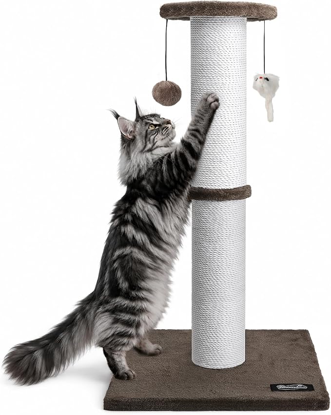 34-Inch Tall Cat Scratching Post for Large Cats, Stable Base, Brown | Heavy-Duty Cat Scratcher, Extra-Tall Thick Post, Soft Natural Cotton Rope, Hanging Interactive Cat Toys, Indoor Cat Furniture