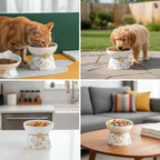 Elevated Ceramic Cat Bowls, 15°Raised Cat Food Bowl, Whisker Friendly Anti Vomiting Cats Dishes, Anti Vomiting & Protect Pet's Spine, Feeder Dish for Indoor Kitty and Small Dogs (Cat Pattern)