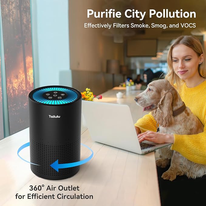 Air Purifiers for Bedroom Home, Tailulu H14 True HEPA Air Purifier Filter, Quiet Air Cleaner With 12dB Sleep Mode Night Light Speed Control Timer, Portable Small Air Purifier For Allergies Pets, AP052