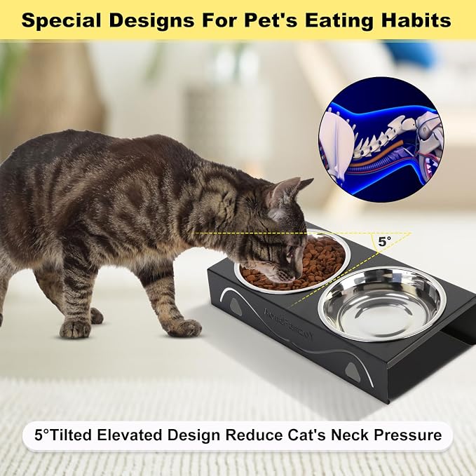 All-Metal Cat Food Bowl Raised, 5.5" WideTilted Whisker-Fatigue Pet Dish, Anti-Vomiting, 2 Stainless Steel Bowls for Food Water, Non-Slip Elevated Cat Feeding Stand for Indoor Multi Cats,Puppy, Black
