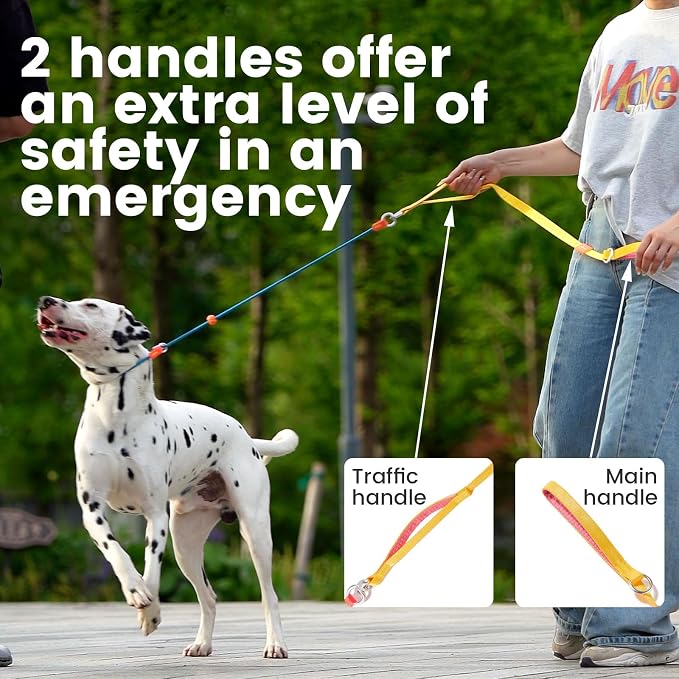 HowGo Slip Lead Dog Leash, 360°Swivel Anti-Tangle (MintGreen 5.5FT) | Traffic Handles Heavy-Duty Training Fur Stuck Free,Lightweight Aluminum Nylon,No-Pull Walking,All Breeds, Dog Trainer