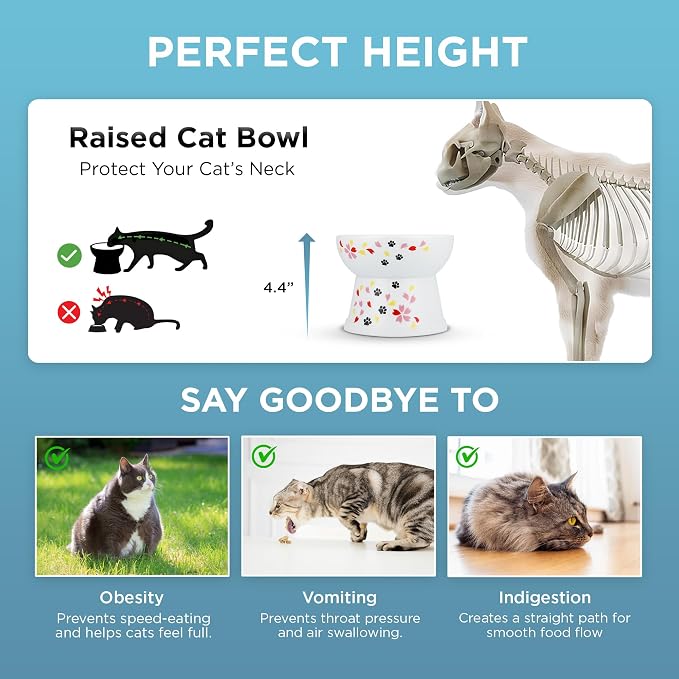 Necoichi Ceramic Elevated Cat Food Bowl (Sakura, Large Flat)