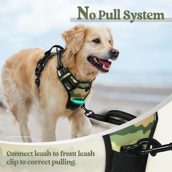 rabbitgoo Dog Harness, No Pull for Small Dogs with 2 Leash Clips, Pet Vest | No Choke with Handle, Adjustable Soft Padded, Reflective, Easy Control for Walking, Green Mountain, Small