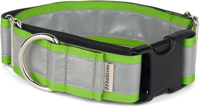 If It Barks - 1.5" Reflective Martingale Collar with Quick Snap Buckle for Dogs - Adjustable - Made in USA - Strong, Durable, and Comfy - Ideal for Training - Fits Most Breeds - Large, Apple Green