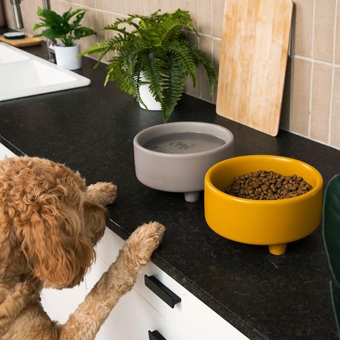 Waggo Uplift Ceramic Dog Bowl for Small Medium and Large Breeds - Heavyweight and Durable Pet Food and Water Dish Crock, Dishwasher Safe, Modern, Elevated Feeder (Clay, Medium)