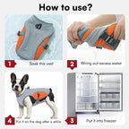 Dog Cooling Jacket for Large Dogs, Pet Cooling Vest with Mesh and D Ring, Dog Reflective Stripe Cooler Jacket for Beach, Hiking, Walking, Orange-L