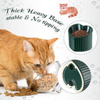 Mumufy 2 Pcs Ceramic Elevated Cat Bowls Tilted Elevated Raised Pet Bowls Anti Vomit Cat Dish for Indoor Stress Free Water Dish Feeder for Puppies, Heart Shaped(Macaron Blue, Peacock Green)