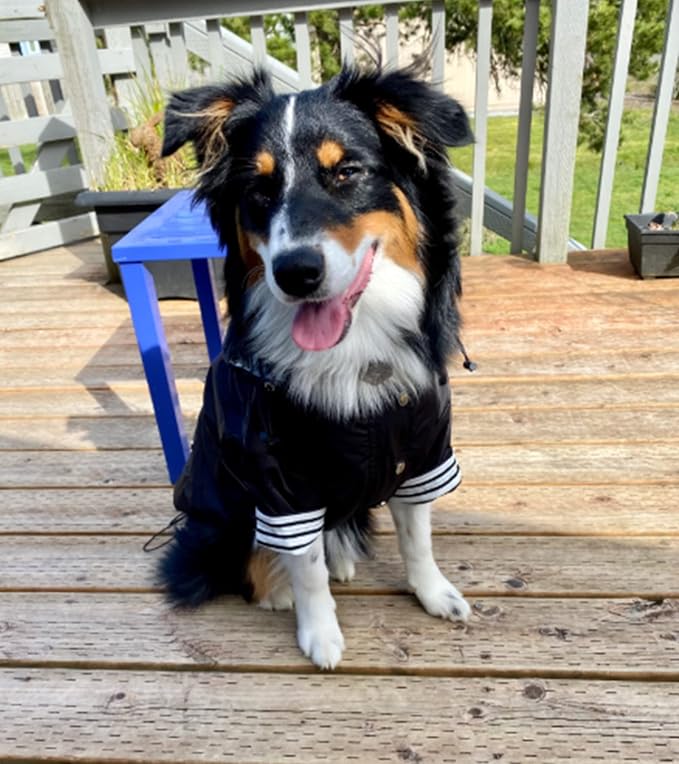 Morezi Dog Zip Up Raincoat with Reflective Buttons, Rain/Water Resistant, Adjustable Drawstring, Removable Hood, Raincoats with Legs 8lbs to 80lbs Available - Black - XL