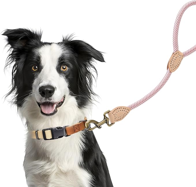 Mile High Life Short Dog Leash with Genuine Leather Connection, 4/5/6 FT | Rope Leash, Heavy Duty 360° Swivel Metal Clasp, for Small Medium & Large Dogs Walking (Pink, 18 Inch)