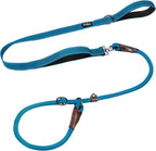 Fida 2-in-1 Slip Lead Dog Leash with 2 Handles, 6FT Training Leash, Blue | No Collar Needed, Tangle Free, Soft Padded Handles, Traffic Control,Reflective Heavy Duty No Pull Leash for Medium-Large Dogs