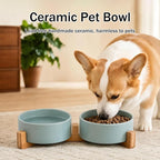 MateeyLife Ceramic Dog and Cat Bowls with Stand, 2-Pack Food and Water Bowl Set - Non-Slip Pet Bowls for Cats,Puppies and Small Dogs, 13.5OZ（Green）