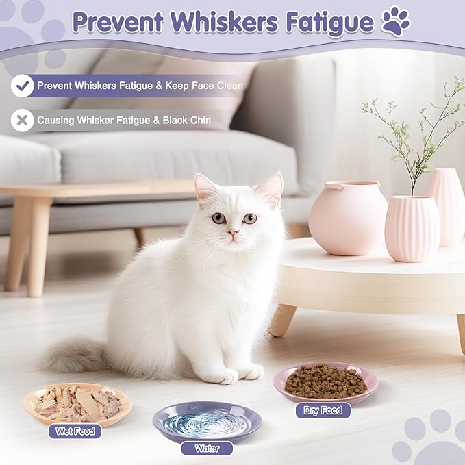 6 Pack Cat Food Bowl, Ceramic Cat Bowls, Anti Whisker Fatigue Cats Bowl Set | 5.5 Inches Shallow Wide Kitten Plates for Food and Water (CaiSe-A)