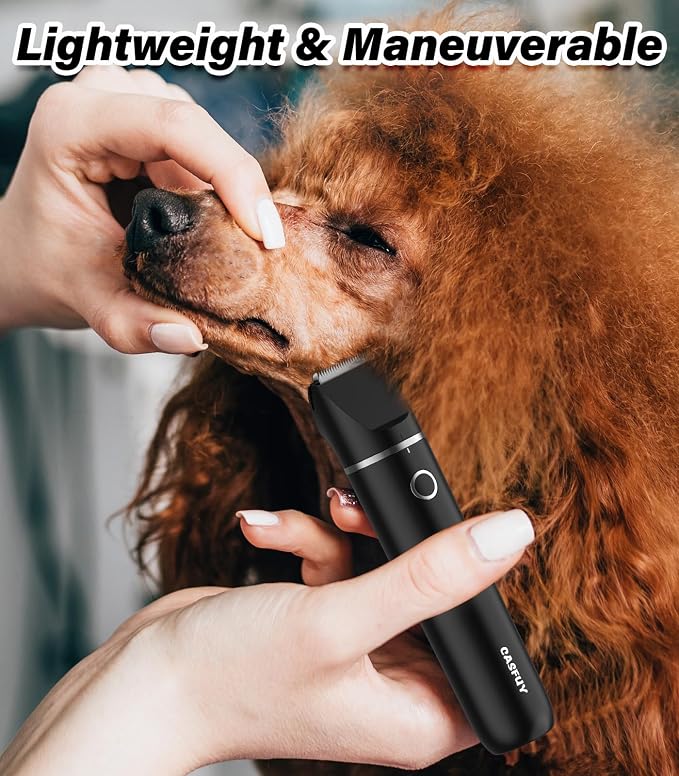 Casfuy Cordless Dog Paw Trimmer - Low Noise Small Dog Clippers with Double Blades USB Rechargeable Grooming Clipper for Dogs Cats and Small Pets for Trimming Hair Around Paws, Eyes, Ears, Face, Rump