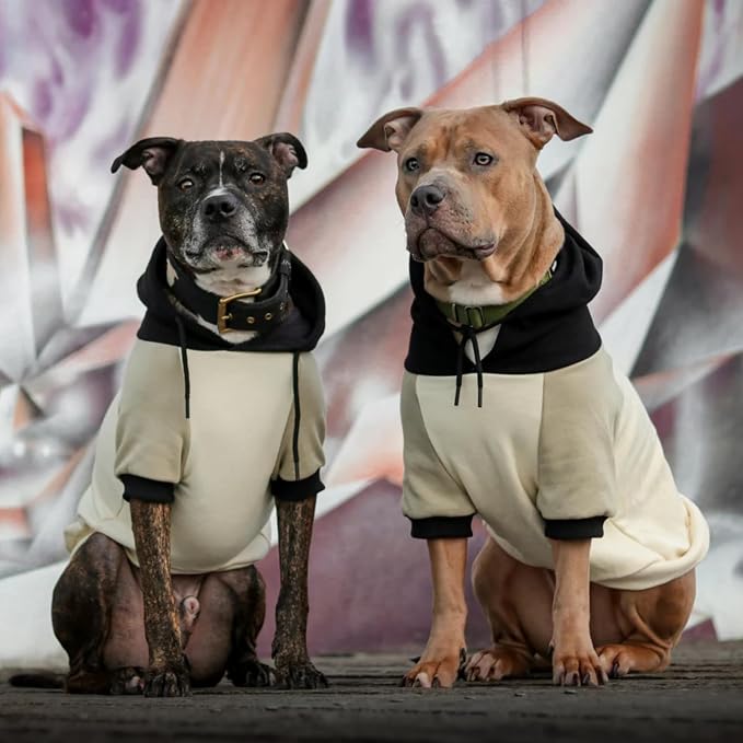 Spark Paws Dog Hoodie – Premium Dog Sweater for Small, Medium, and Large Dogs | Warm Outfits for French Bulldogs, Pitbull, Puppy, Winter Jacket Alternative - Olive Cream - 3XL