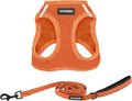 Best Pet Supplies Voyager Step-in Air All Weather Mesh Harness and Reflective Dog 5ft Leash Combo with Neoprene Handle, for Small, Medium and Large Breed Puppies - Orange, XXX-Small