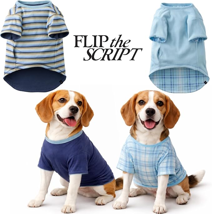 Pet Passion Rover - The Reversible Tee, 2 Pack Short Sleeve Pet T-Shirt 100% Organic Cotton Tees for Small, Medium, Large Dog Clothes, Blue Sand, XX-Large