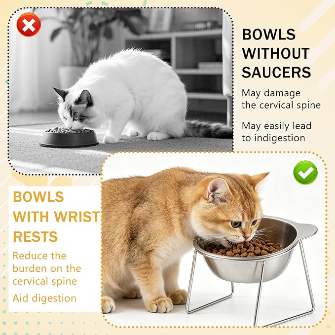 Elevated Cat Bowls 3 Pack, 15° Tilted Raised Cat Food & Water Bowls with Stainless Steel Dishes, Whisker-Friendly Anti-Vomiting Pet Bowls for Cats & Small Dogs