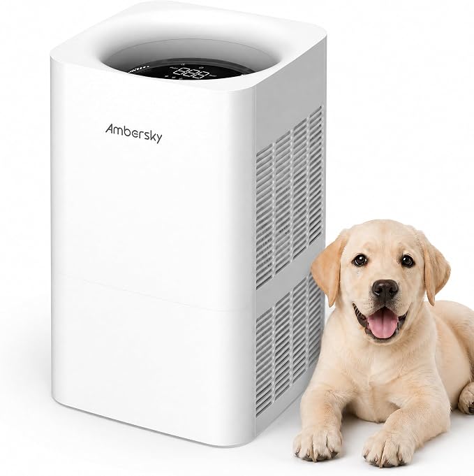 Ambersky Air Purifier for Home, Ture HEPA Filter for Large Room 2500 Ft² | Real-Time AQI & PM2.5 Display, Sleep Mode & 5 Fan Speeds, 360° Air Cleaner for Pet Hair, Smoke, Dust, Odor