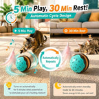 Interactive Cat Toys for Indoor Cats, Automatic Rechargeable Rolling Ball | Realistic Bird Chirping Sound, 6-Color Breathing Light Wand, Feather & Tail Attachments included, Large 3-Inch Ball Design