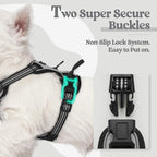 rabbitgoo Dog Harness No Pull with 2 Leash Clips, Adjustable Soft Padded, Reflective Oxford No Choke Pet Vest with Easy Control Handle for Puppy, Grey, XS | No Choke with Handle, Adjustable Soft Padded, Reflective, Easy Control for Walking, Gray, X-Small