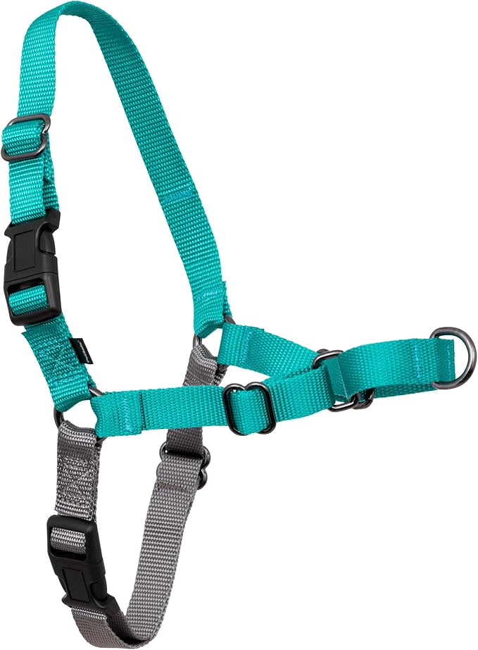 PetSafe Easy Walk Harness for Dogs - Pull-Free Walks - Patented Martingale Loop Design - Front Chest Leash Attachment - Comfort Straps - Breathable Harness Design - Small, Teal/Gray